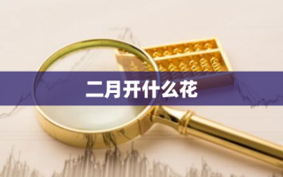 二月开什么花