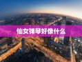 仙女弹琴好像什么