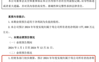 大众安徽销量不佳：江淮汽车2024业绩由盈转亏