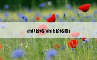 shit价格(shib价格图)