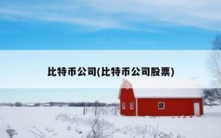 比特币公司(比特币公司股票)