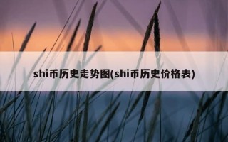 shi币历史走势图(shi币历史价格表)