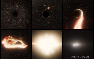 游荡黑洞吞噬恒星