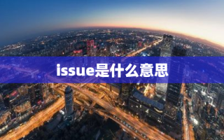 issue是什么意思