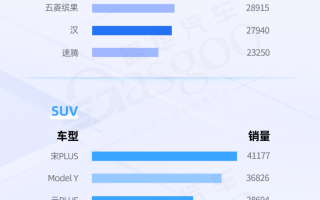 比亚迪全系列占据“半壁江山”，Model Y 地位稳固 | 国内乘用车车型销量排行榜