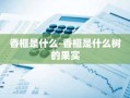 香榧是什么-香榧是什么树的果实