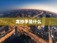龙抄手是什么