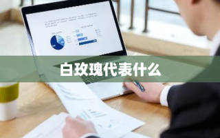 白玫瑰代表什么