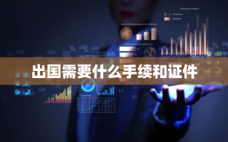 出国需要什么手续和证件