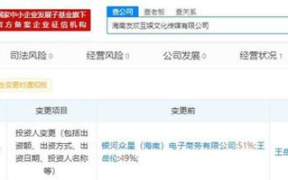 李湘关联公司投资人工商变更 王岳伦成最大股东