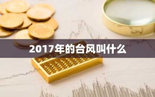 2017年的台风叫什么