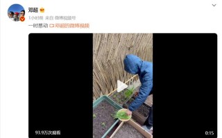 孙俪拍邓超雨中剪葱 两口子玩谐音梗拌嘴甜蜜十足