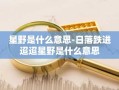 星野是什么意思-日落跌进迢迢星野是什么意思