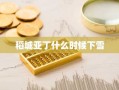 稻城亚丁什么时候下雪