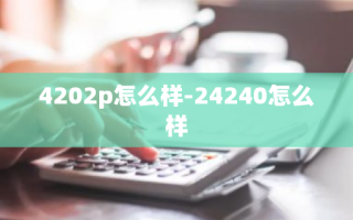 4202p怎么样-24240怎么样