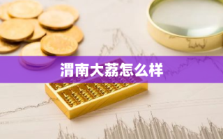 渭南大荔怎么样