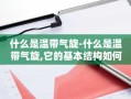 什么是温带气旋-什么是温带气旋,它的基本结构如何