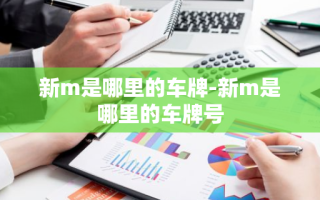 新m是哪里的车牌-新m是哪里的车牌号