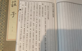 探寻庄子的著名典故：智慧与哲思的瑰宝
