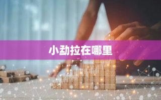 小勐拉在哪里