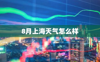 8月上海天气怎么样