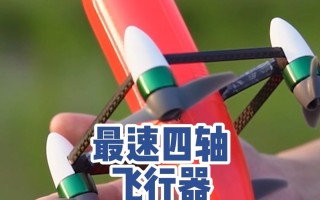 中国航模创微型飞行器速度纪录