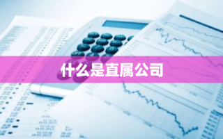 什么是直属公司