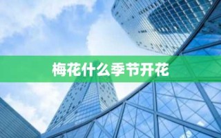 梅花什么季节开花