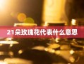 21朵玫瑰花代表什么意思