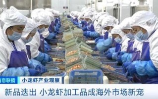 旺季来临销量明显增加 小龙虾加工品成海外市场新宠