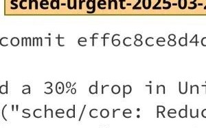 Linux内核撤销两年前优化代码以解决性能问题