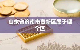 山东省济南市高新区属于哪个区