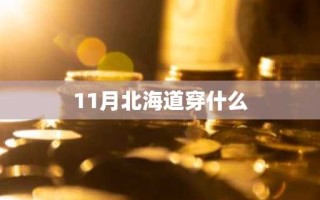 11月北海道穿什么