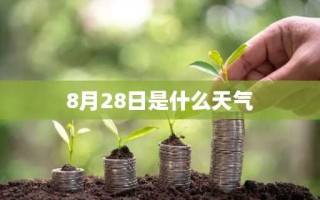 8月28日是什么天气