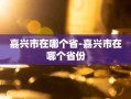 嘉兴市在哪个省-嘉兴市在哪个省份