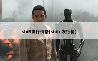 shiB发行价格(shib 发行价)