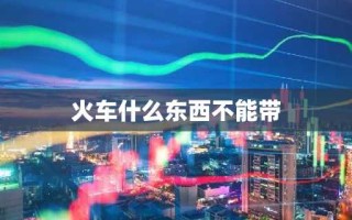 火车什么东西不能带