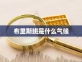 布里斯班是什么气候