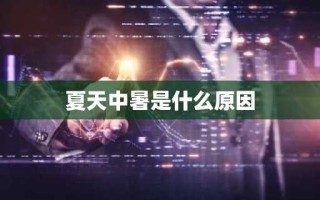 夏天中暑是什么原因