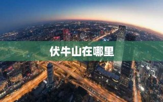 伏牛山在哪里