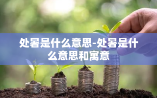 处暑是什么意思-处暑是什么意思和寓意