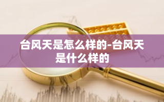 台风天是怎么样的-台风天是什么样的