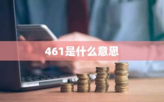 461是什么意思