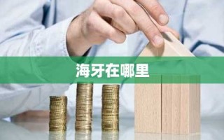 海牙在哪里