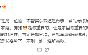 比亚迪何志奇：德国人心中排第一的是狗 有车后备箱能给狗洗澡于是卖得好