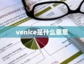 venice是什么意思