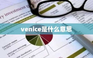 venice是什么意思