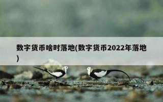 数字货币啥时落地(数字货币2022年落地)