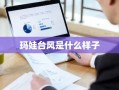 玛娃台风是什么样子