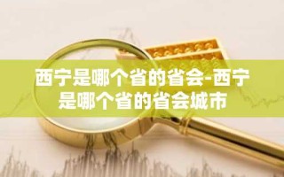 西宁是哪个省的省会-西宁是哪个省的省会城市